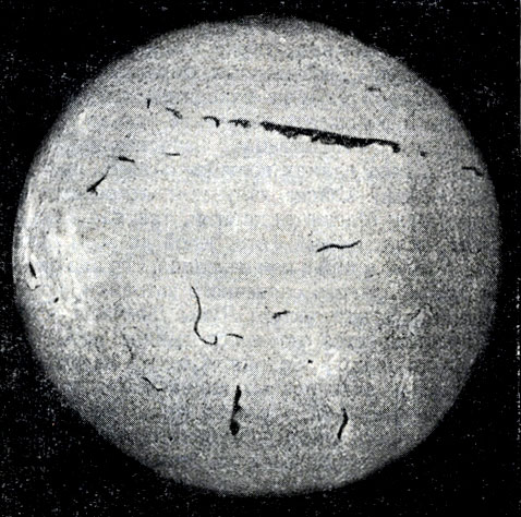 Рис. 26. Спектрогелиограмма Солнца в лучах Нα (4 апреля 1959 г.).